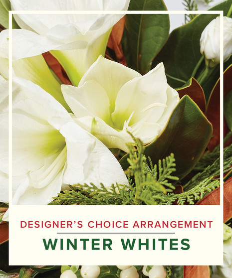 Winter Flowers - Designer's Choice